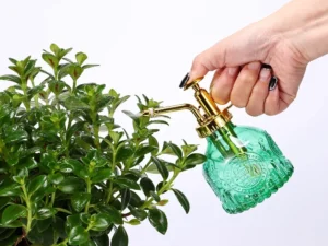 بخاخة زجاج للمياه والعطور
